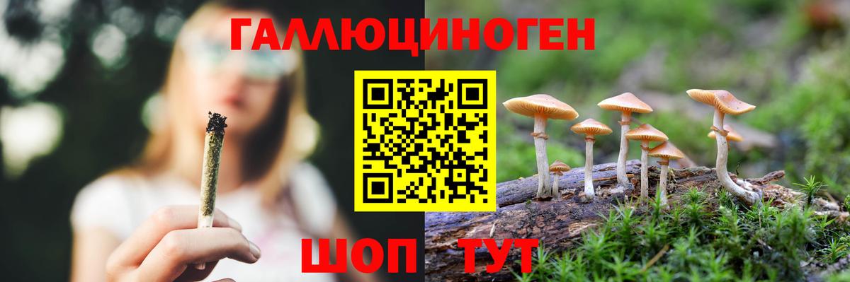Псилоцибиновые грибы Psilocybe  Псилоцибиновые грибы Psilocybine cubensis  Вход с VPN  магазин продажи   Кировск 