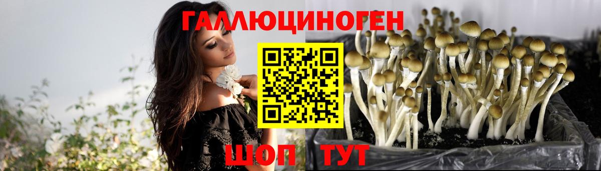 COCAIN  Метамфетамин  Канабис  Вход с VPN  Мефедрон   ГАШИШ  НБОМе  ГАШИШ  Кировск  Codein 