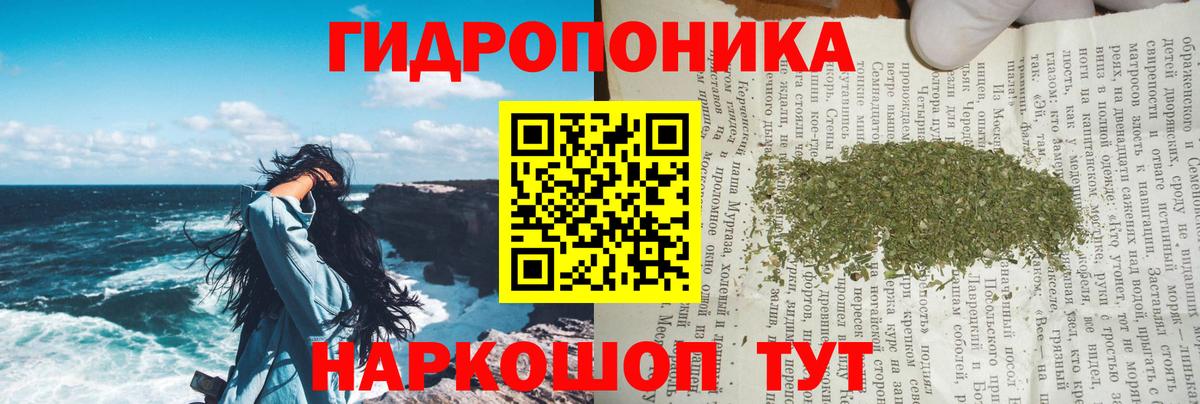 Бошки марихуана марихуана  Вход с VPN  Кировск  Конопля план  МАРИХУАНА AK-47 